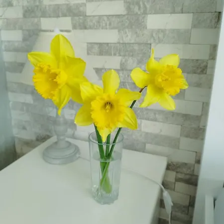 Aпартамент 5 *