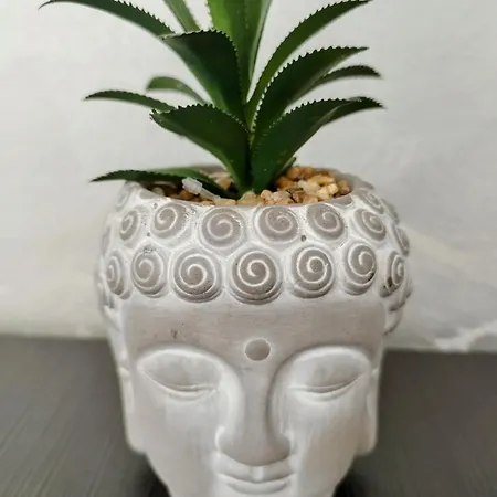 Aпартамент 5 Daire Varna